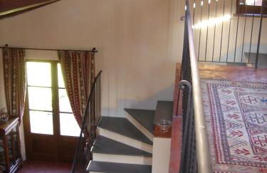 Le querce felici - Foto 22