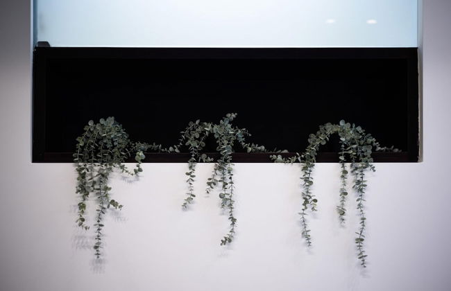 Via Morghen 63 in Napoli - Foto 17