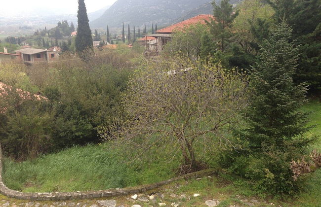 260m2 Unique Mountain House in Lilea Parnasos - Foto 69