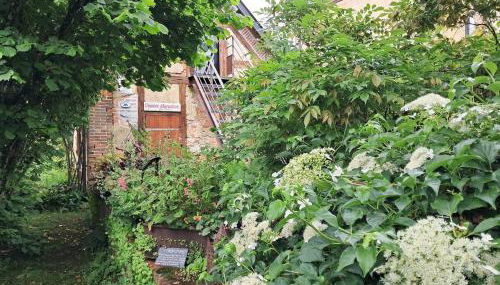 L'atypique du buisson de la gariole - Foto 2