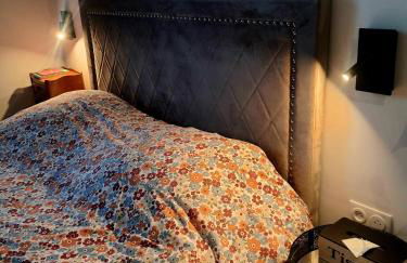 Hôte Stéphanois Studio & parking - Foto 6