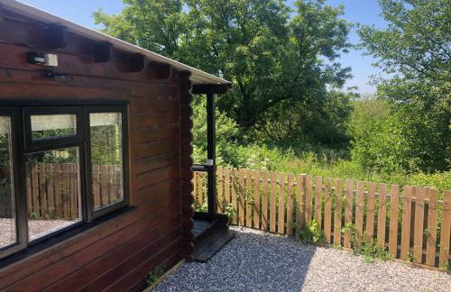 Cotts Cabin - Welcombe - 2 min walk to pub - Foto 15