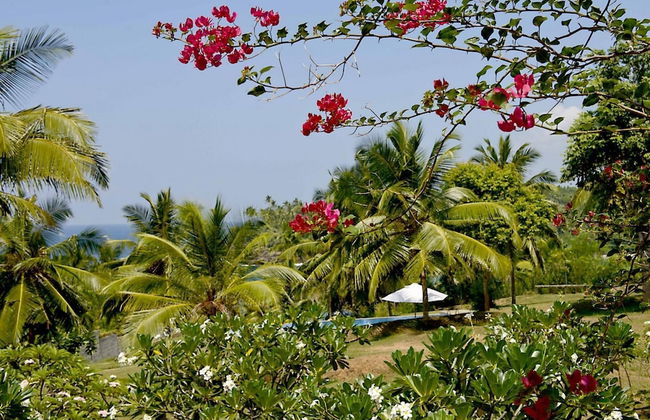 Elevated Family Beach House With Ocean Views - Foto 2