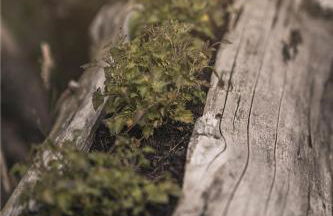 Holiday Home Haus für 22 Personen mit Außensauna und HotTub by Interhome - Foto 24