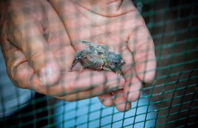 Agriturismo Bosco del Gal - Photo 38