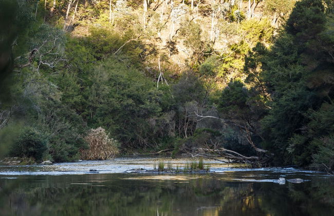 Yering Gorge Cottages - Foto 67