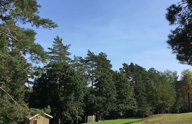 Kaimo Turizmo Sodyba Geras - Foto 79