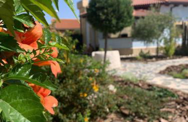 Las Gavias - Foto 26