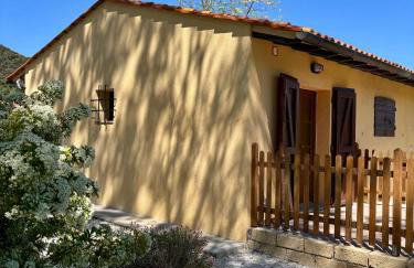 Podere Il Ritorno - Foto 24