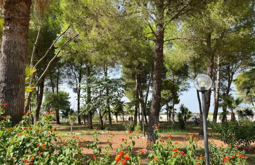 Casette Masseria La Camardia - Foto 54