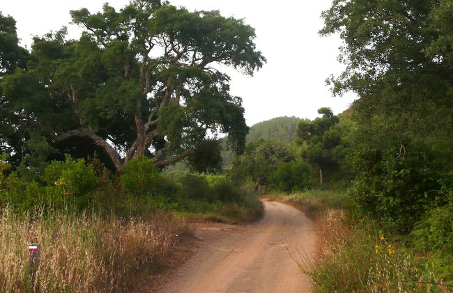 Aldeia da Pedralva by WOT Signature - Foto 108