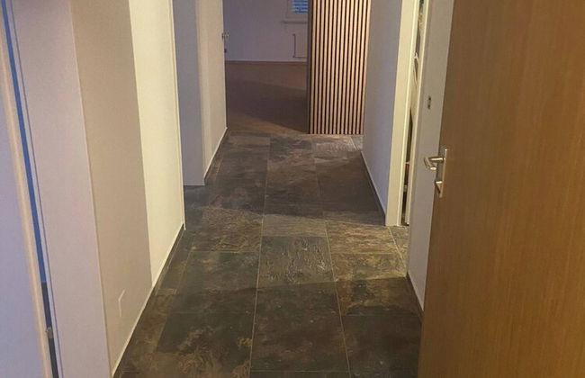 In the Green but in 20 Minutes in Basel - Foto 27