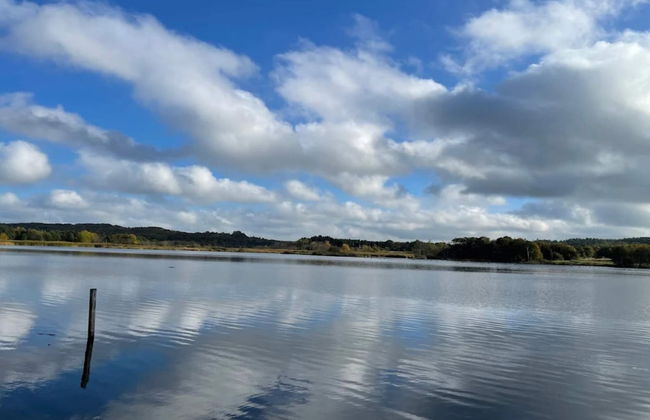 6 Person Holiday Home in Silkeborg - Foto 48