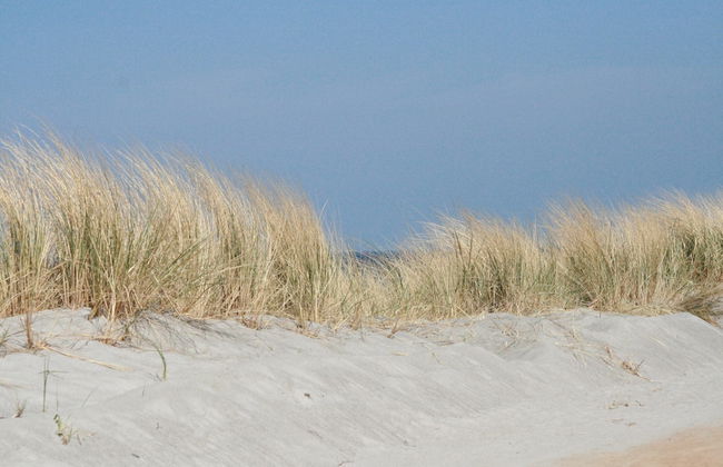 Beautiful Apartment in Robertsdorf With Garden - Foto 40