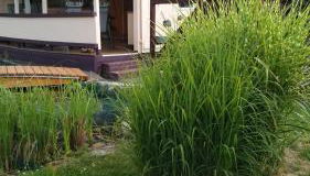 Ferienhaus am Kamskefliess - Foto 2, Garden view