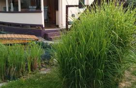 Ferienhaus am Kamskefliess - Foto 2