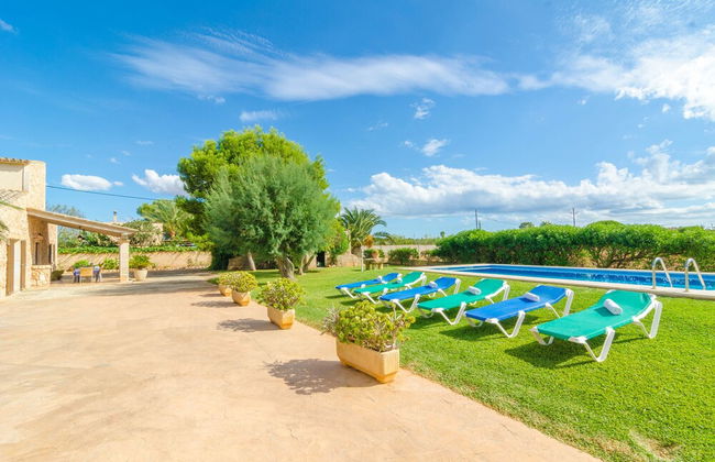 Torre Marina Alga Marina - Foto 31