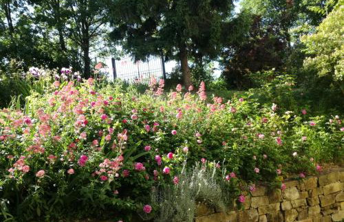 San Giovannina '800 - Photo 21