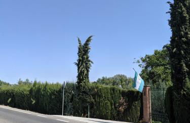 La Noguera de Baena - Foto 20