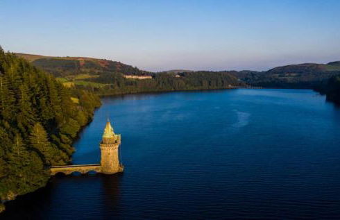 Honey Bee Cottage Tiny House Welshpool - Photo 10