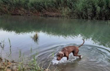 Villa Marna Bianca - Foto 52