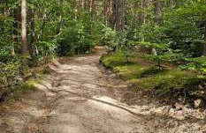 Apartamenty Nadmorskie Jantar Bursztynowe Osiedle - Foto 18