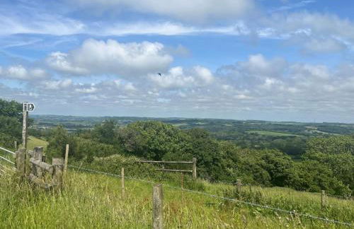 The Shepherds Snug - Photo 29