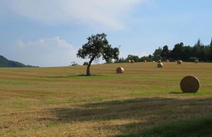Locanda Gli Ulivi - Photo 50