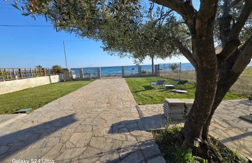 Athenas Vila - Foto 63