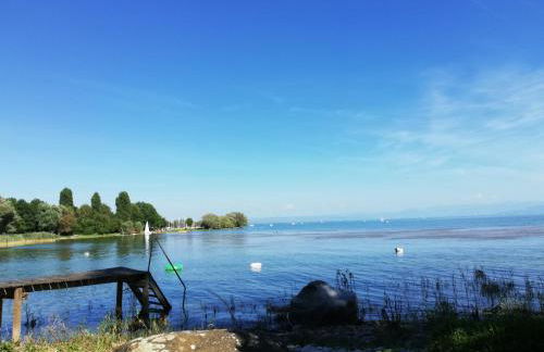 Gästehaus zum Landesteg - Foto 60