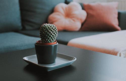 Apartment Nika, Arena Zagreb - Foto 20