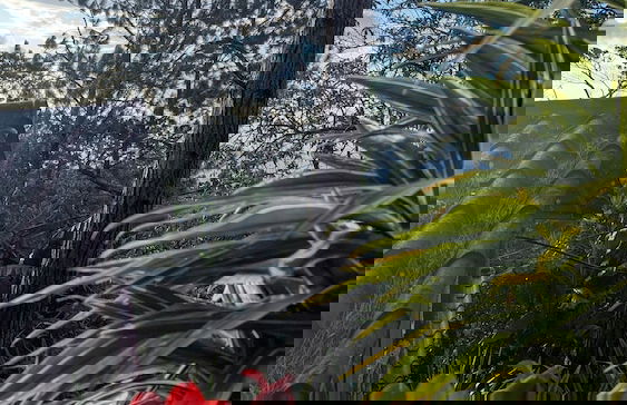 Campos de Oro Wilderness Lodge - Photo 73