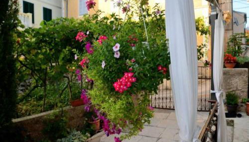 Apartment Lorna & Igor Zuvic - Foto 5, Garden, Garden view