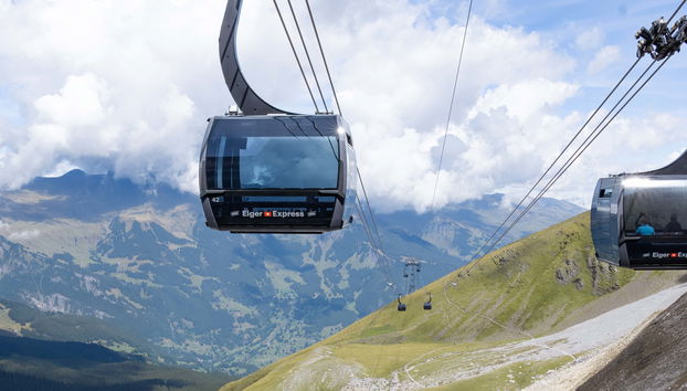 Depuis Grindelwald : Train à crémaillère ou téléphérique pour le Jungfraujoch - Top of Europe
