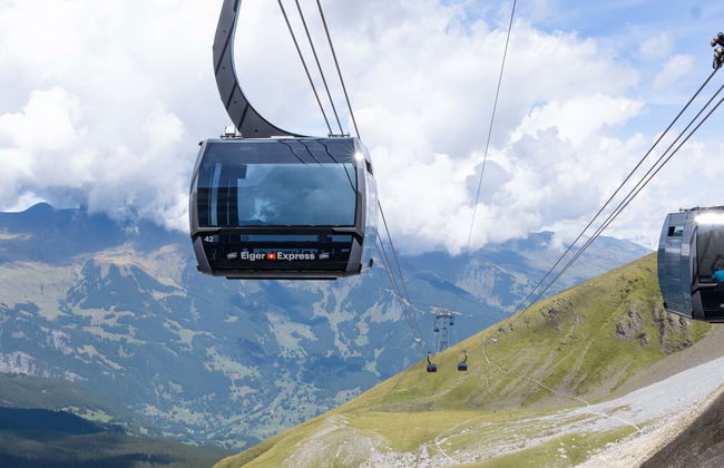 Depuis Grindelwald : Train à crémaillère ou téléphérique pour le Jungfraujoch - Top of Europe - Photo 9