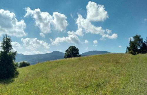 Wohnung Nahe Inselsberg Wanderwege - Photo 60