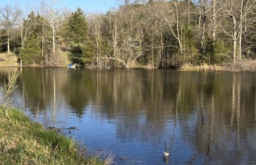 Magical Tree House Rental Nestled in the Woods on Farm Retreat near St. Louis, Missouri - Foto 11