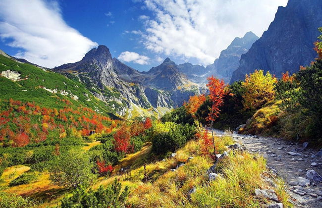 Hilson Apartments Jasná - Foto 38