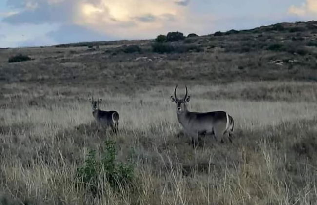 Boschfontein Mountain Lodge - Foto 32