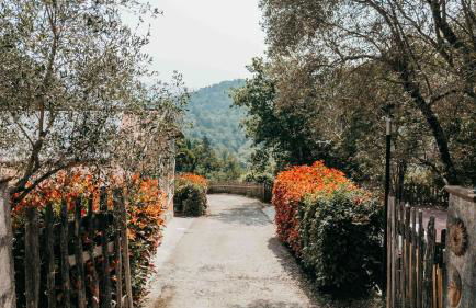 Resort Ombreseda - Photo 56