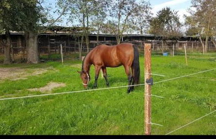 Fienile Paradiso Home Tuscany - Foto 12