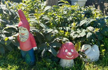 Apartman Lukas - Foto 15