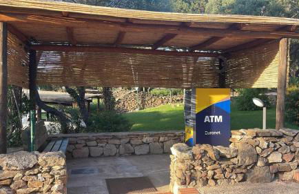 La tartaruga - Photo 34