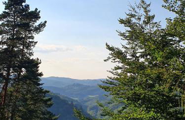 Odenwald-Lodge mit Infrarotsauna und E-Ladestation im Naturpark Odenwald "Haus Himmelblau" - Foto 28