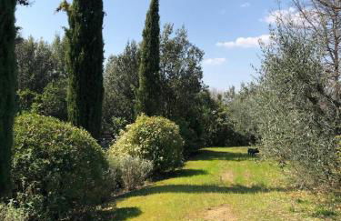 Villa Elena Tuscany - Pool & Garden Arezzo - IHH - Foto 6