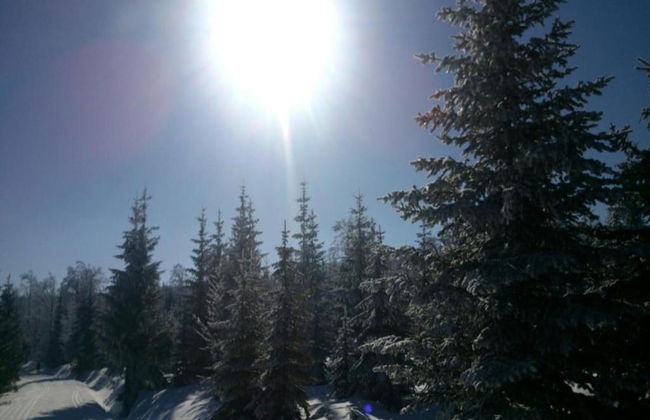 Comfortable Holiday Home With Sauna and Billiards, Near the Slopes - Photo 33