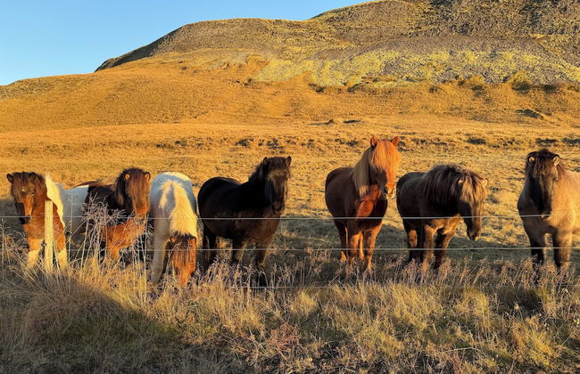 Au44 cottages - Arngrimslundur - Foto 70