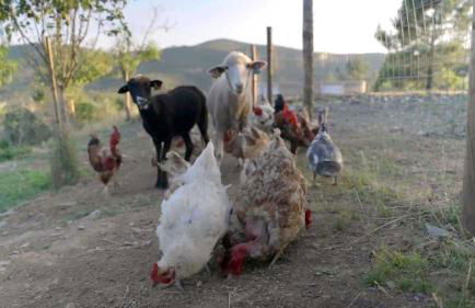 Natura Natura - Foto 45