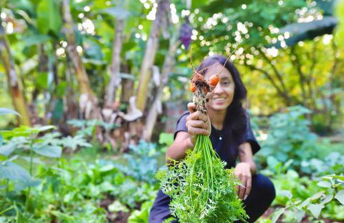 Casa Centenária com 20 min de Gramado - Foto 14
