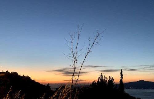 Nerinalia Residence - Foto 57